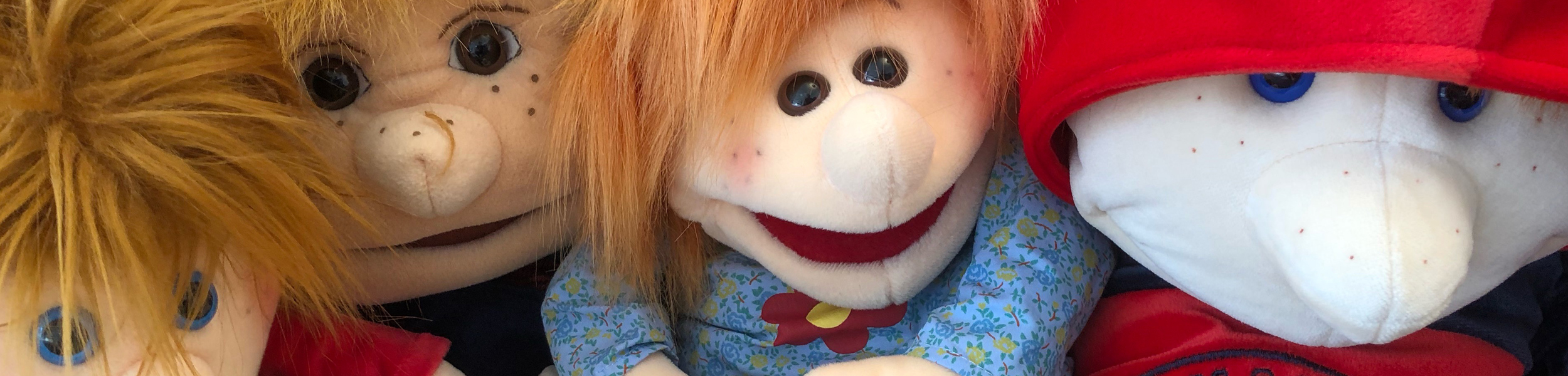 Supervision, Fallsupervision, Teamsupervision